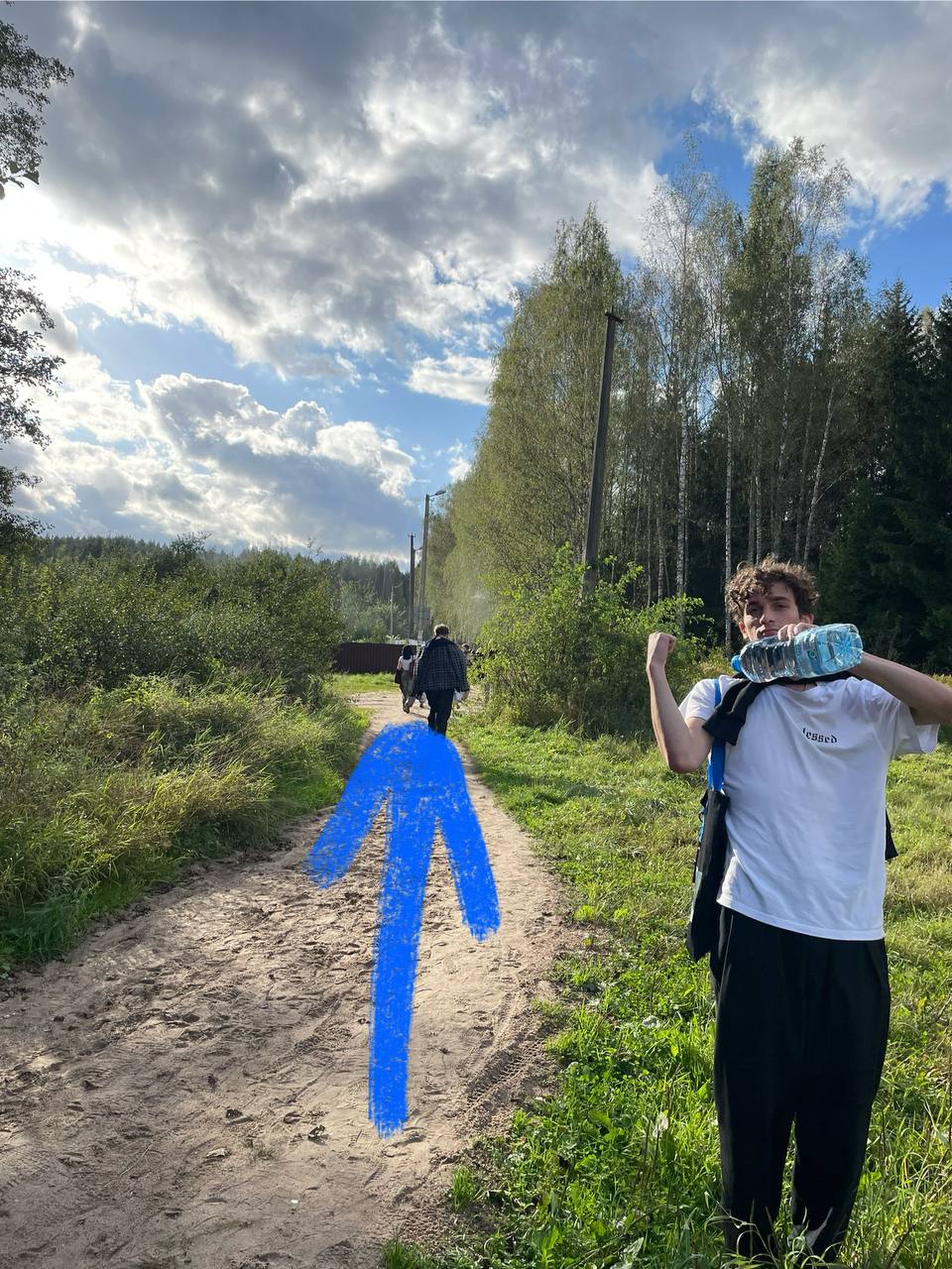Развилка в лесу